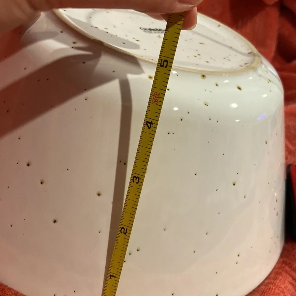 Retired Crate&Barrel Speckled Glazed Serving Bowl